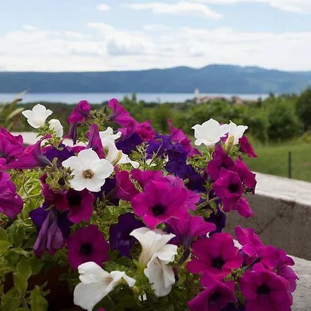 Apartment Belici